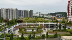 Blk 811A Choa Chu Kang Avenue 7 (Choa Chu Kang), HDB 5 Rooms #215656901